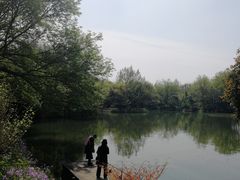 -西溪国家湿地公园