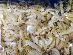 -蓝珊甄选海鲜自助·火锅大排档(近阿那亚店)