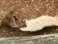 -昆明动物园
