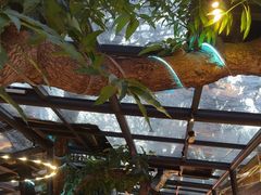 -海岛八号龙虾烧烤田鸡(蓝天路总店)