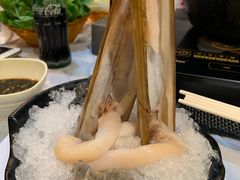 -鲜入围煮花胶鸡海鲜火锅