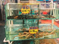 -有腥气私房菜·寻味顺德