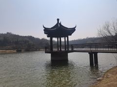 -宜兴龙背山森林公园