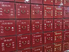 -北京同仁堂(四川中路店)