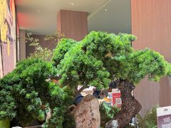 -老太原菜馆(南宫店)