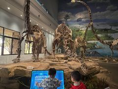 -自贡恐龙博物馆