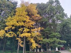 -贵州省植物园
