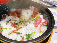 -南海鸽天下(肇庆店)