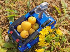 -永定河休闲森林公园