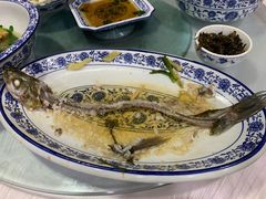 清蒸白水鱼-洞天食府(北大街店)