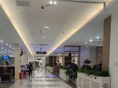 -合肥新桥国际机场-航站楼