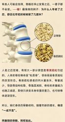点击看大图 -玛莲朵·海菲秀冰珀科
