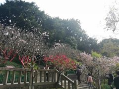 -乌山风景区