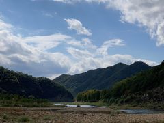 -小芝红树林