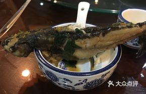 Perilla Catfish