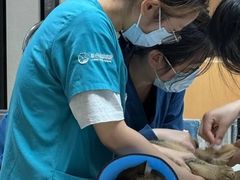 -联合动物医院(光谷诊疗中心)