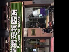 -瑞鹏宠物医院·猫科·宠保定点(梅溪湖分院)