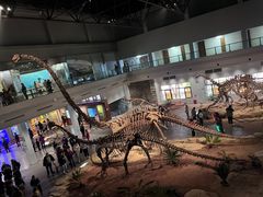 -自贡恐龙博物馆