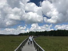 -塞罕坝国家级自然保护区