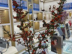 -好宜家眼视光·蔡司店(临汾店)