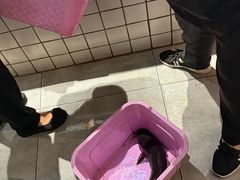 -皇中百岁鱼(西兰路店)