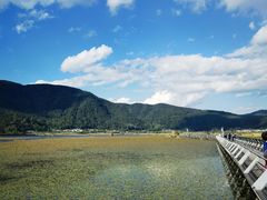 -腾冲北海湿地