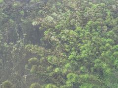 -靖西鹅泉风景区