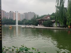 -莲湖公园
