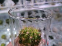 -KKV(深圳宏发大仟里店)