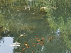 -黑龙江省森林植物园