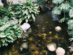 -九曲湾度假村温泉