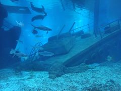 -福州罗源湾海洋世界旅游区