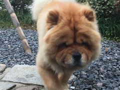 -看见远方·莫干遥远的山民宿