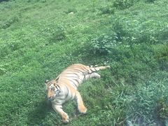 -西安秦岭野生动物园