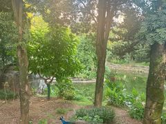 -华雅花园大酒店