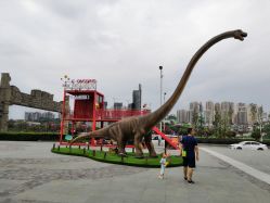 -恐龙探索乐园(磁器口店)