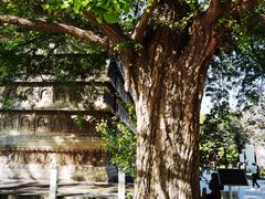 -北京石刻艺术博物馆(五塔寺)