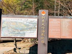 -宁波浙东大竹海景区