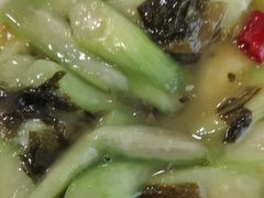 -金熊猫川菜餐厅