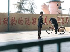 -东方熊牧场