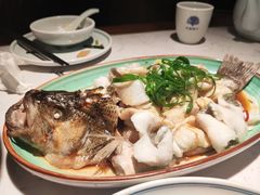 -大榕树下顺德菜(融创茂店)