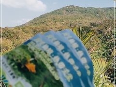 -亚龙湾热带天堂森林公园