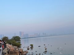-深圳湾公园(南山区)