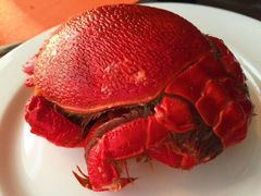 -“香”全日餐厅·株洲大汉希尔顿酒店