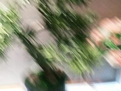 -呷哺呷哺(星光天地店)