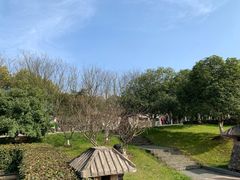 -南京市江宁方山