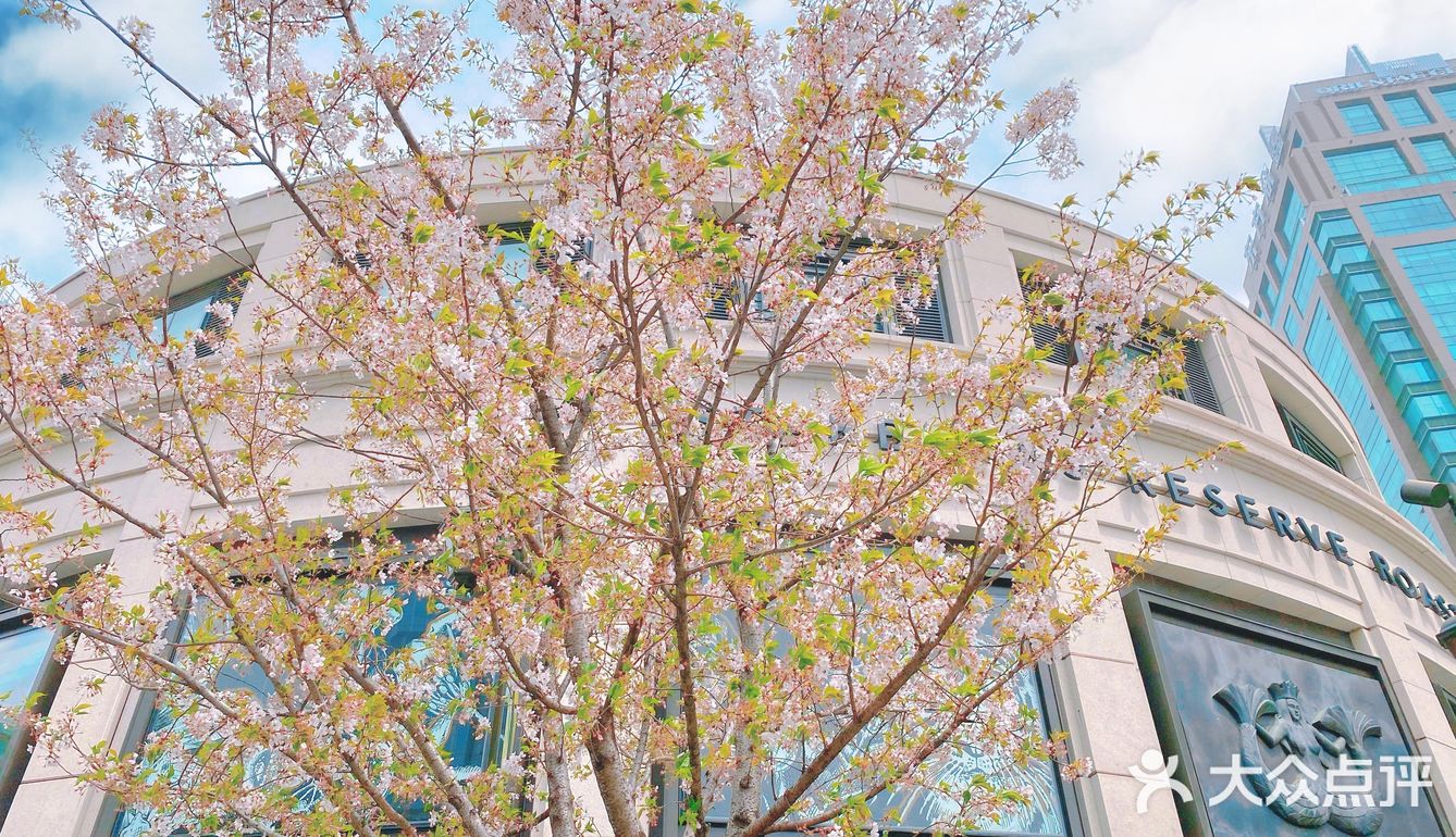 攻略 | 静安区0元不排队赏樱🌸保姆级指南建议收藏