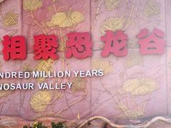 -世界恐龙谷景区