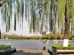 -济南大明湖景区