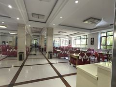 -白渔泡湿地公园